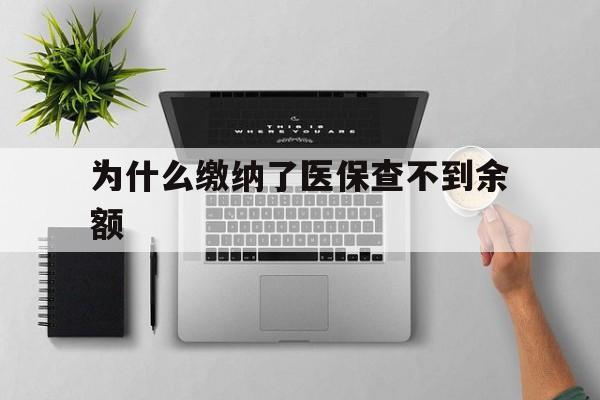 长兴最新为什么缴纳了医保查不到余额方法分析(最方便真实的长兴医保交了费怎么查不到方法)